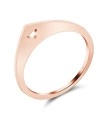 Silver Ring NSR-2610